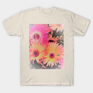 HAZY NEON  DAISIES House of Harlequin T-Shirt